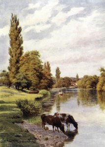 Shiplake by Alfred Robert Quinton